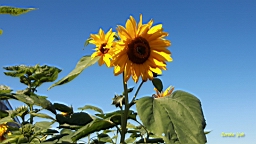 IMG_3641.JPG