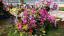 IMG_3645.JPG