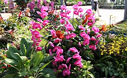 IMG_3658.JPG