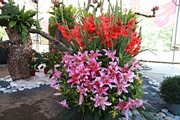 IMG_3672.JPG