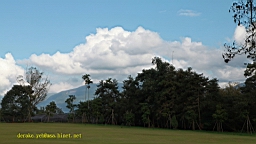 IMG_3679.JPG