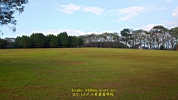 IMG_3689.JPG