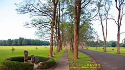 IMG_3690.JPG