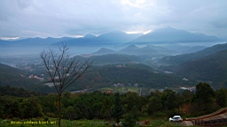 IMG_3728.JPG