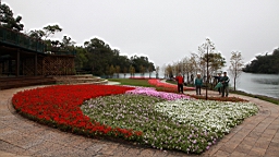 IMG_3835.JPG