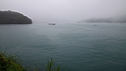 IMG_3850.JPG