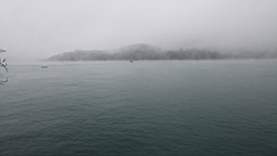 IMG_3852.JPG