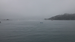 IMG_3853.JPG