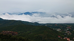 IMG_3874.JPG