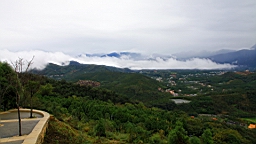 IMG_3875.JPG