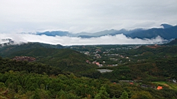 IMG_3877.JPG