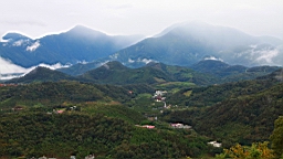 IMG_3881.JPG