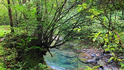 IMG_2524.jpg