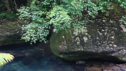 IMG_2525.jpg