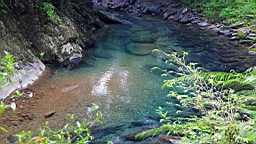 IMG_2528.jpg