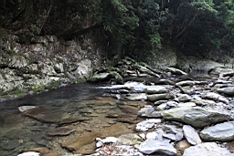 IMG_2532.jpg
