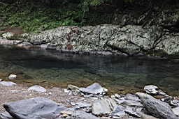 IMG_2534.jpg