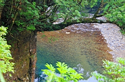 IMG_2549.jpg