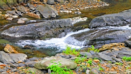 IMG_2551.jpg