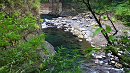 IMG_2553.jpg