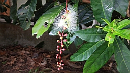 IMG_2582.jpg