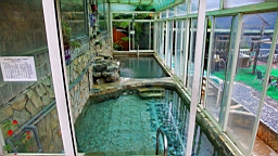 IMG_2584.jpg