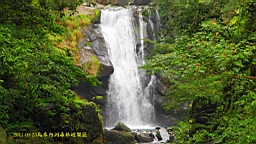 IMG_2598.jpg