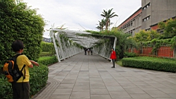 IMG_2625.jpg