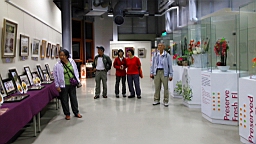 IMG_2642.jpg
