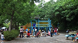 IMG_2667.jpg
