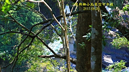 IMG_2739.jpg