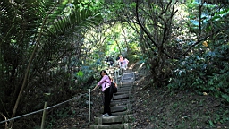 IMG_2741.jpg