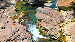 IMG_2746.jpg