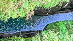 IMG_2802.JPG