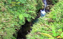 IMG_2804t.JPG
