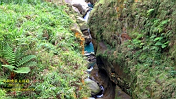 IMG_2805.JPG
