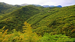 IMG_2873.JPG