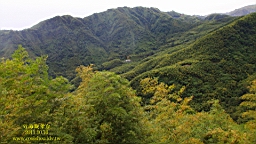 IMG_2874.JPG