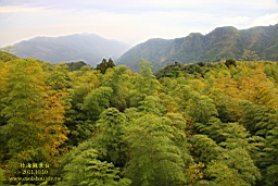 IMG_2875.JPG