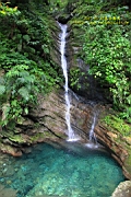IMG_4190.JPG