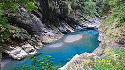 IMG_4216.JPG