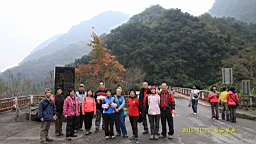 IMG_4223.JPG