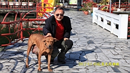 IMG_4240.JPG