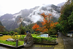 IMG_4494.JPG