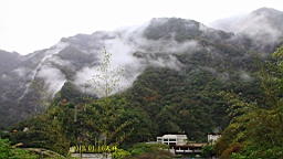 IMG_4504.JPG