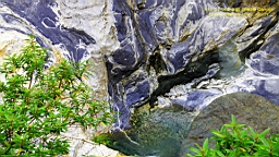 IMG_4543.JPG