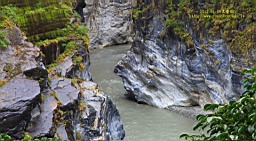IMG_4579.JPG