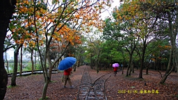 IMG_4619.JPG