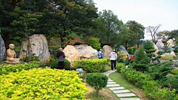 IMG_4640.JPG
