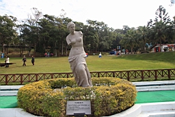 IMG_4689.JPG